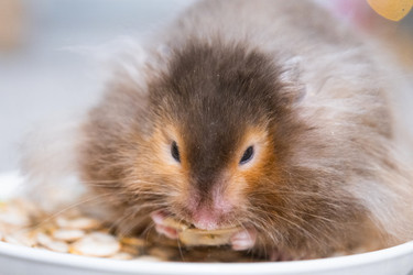 Similar image 22437496