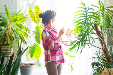 Similar image 22437498