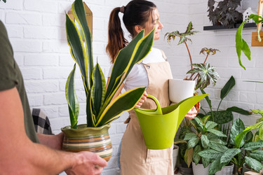 Similar image 22437501