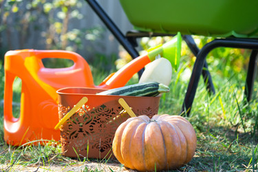 Similar image 22437506