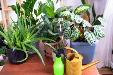 Similar image 22437508