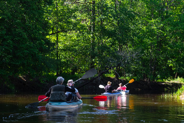 Similar image 22437509