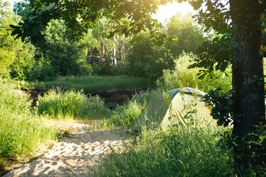 Similar image 22437514