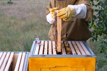 Similar image 22437517