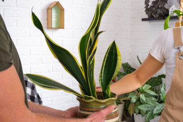 Similar image 22437520