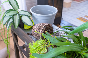 Similar image 22437530