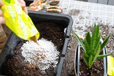 Similar image 22437535