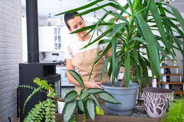 Similar image 22437538