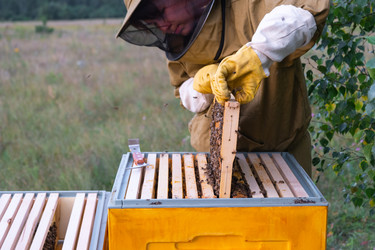 Similar image 22437539