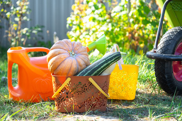 Similar image 22437543