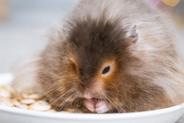 Similar image 22437549