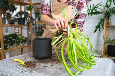 Similar image 22437551