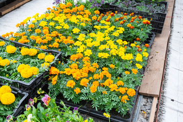 Similar image 22437555