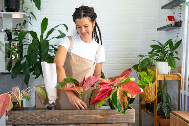 Similar image 22437565