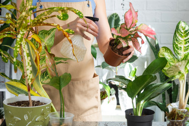 Similar image 22437566