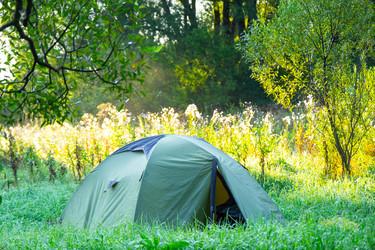 Similar image 22437569