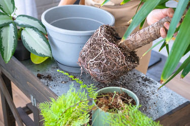 Similar image 22437570