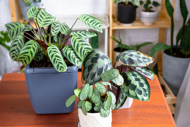 Similar image 22437582