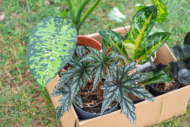 Similar image 22437586