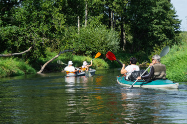 Similar image 22437595