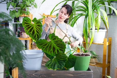 Similar image 22437600