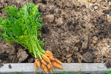 Similar image 22437606