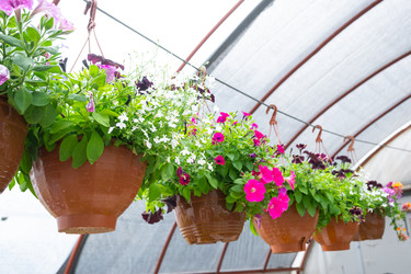 Similar image 22437612