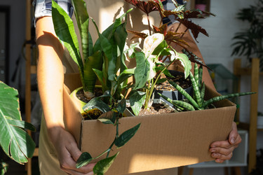 Similar image 22437614