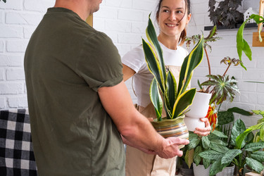 Similar image 22437615