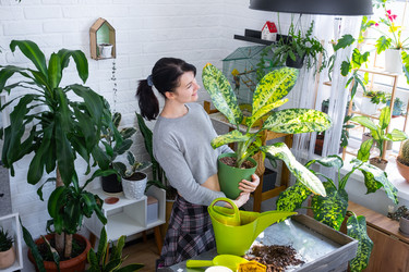 Similar image 22437620