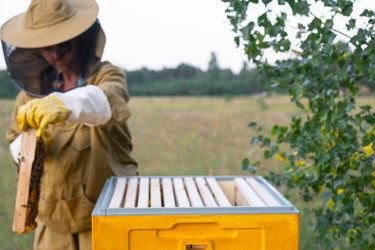 Similar image 22437621