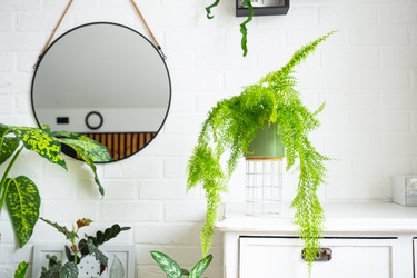 Similar image 22437622