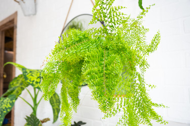 Similar image 22437630