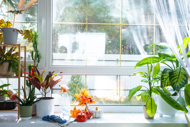 Similar image 22437640