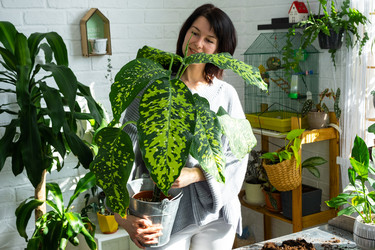 Similar image 22437646