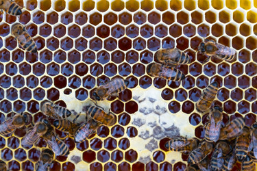 Similar image 22437650