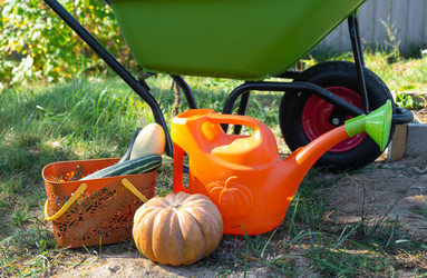 Similar image 22437653