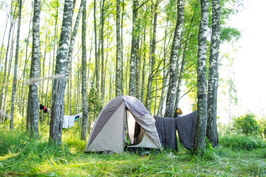 Similar image 22437660