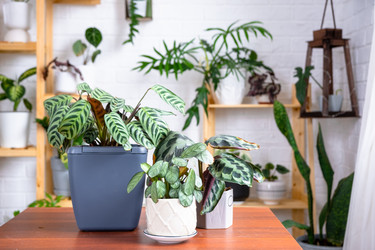 Similar image 22437663