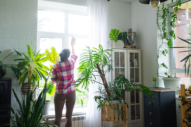 Similar image 22437664