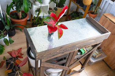 Similar image 22437669