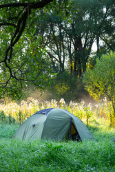 Similar image 22437670