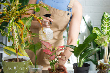 Similar image 22437671