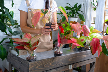 Similar image 22437675