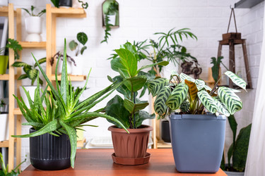 Similar image 22437677