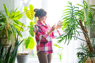 Similar image 22437684