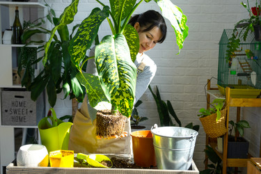 Similar image 22437691