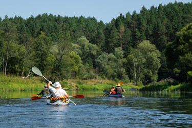 Similar image 22437694