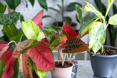 Similar image 22437695