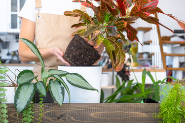 Similar image 22437704